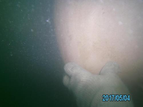 PICT0593